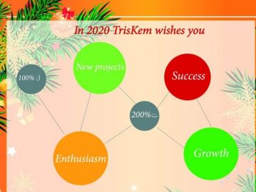 Seasons Greetings from your Triskem Team