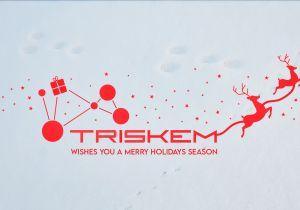 КОМАНДА TrisKem ЖЕЛАЕТ ВАМ СЧАТЛИВЫХ НОВОГОДНИХ ПРАЗДНИКОВ!