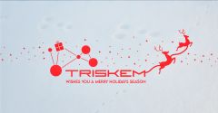 КОМАНДА TrisKem ЖЕЛАЕТ ВАМ СЧАТЛИВЫХ НОВОГОДНИХ ПРАЗДНИКОВ!